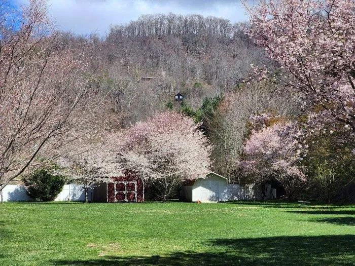 Pigeon River Campground 0