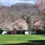 Pigeon River Campground