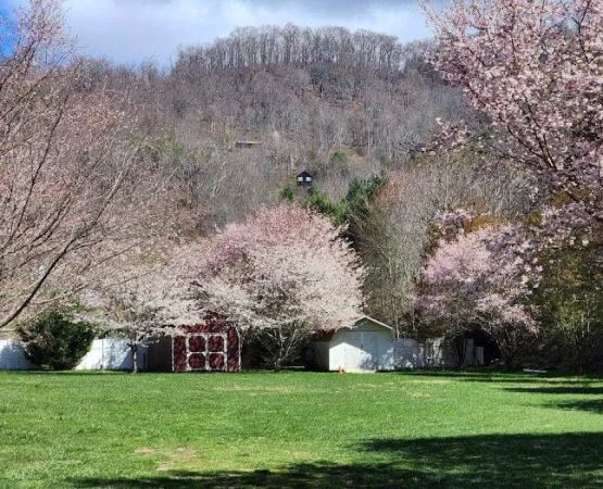 Pigeon River Campground