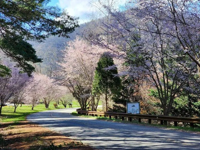 Pigeon River Campground 3