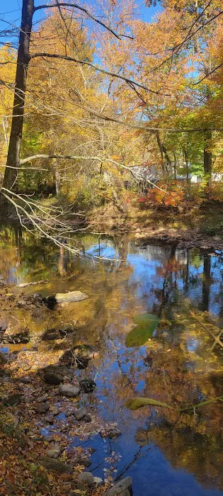 Pigeon River Campground 6