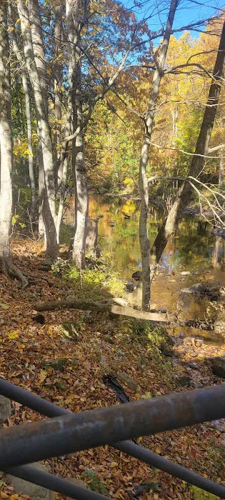 Pigeon River Campground 8