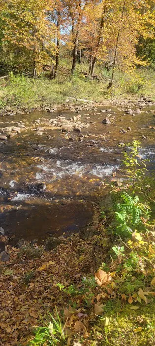 Pigeon River Campground 7