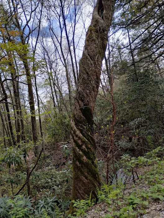 Standing Indian Campground 5