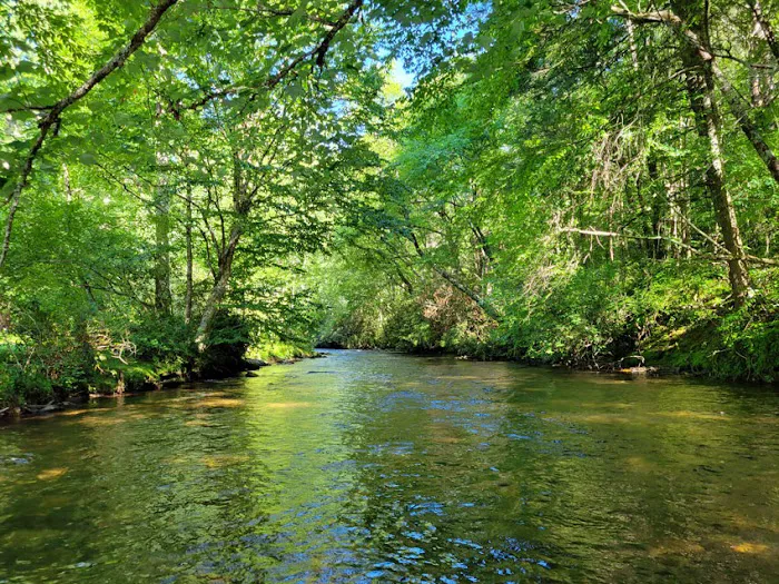 Winding Stair Campground 3