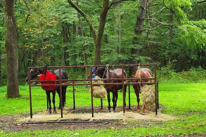 Cataloochee Horse Camp 1