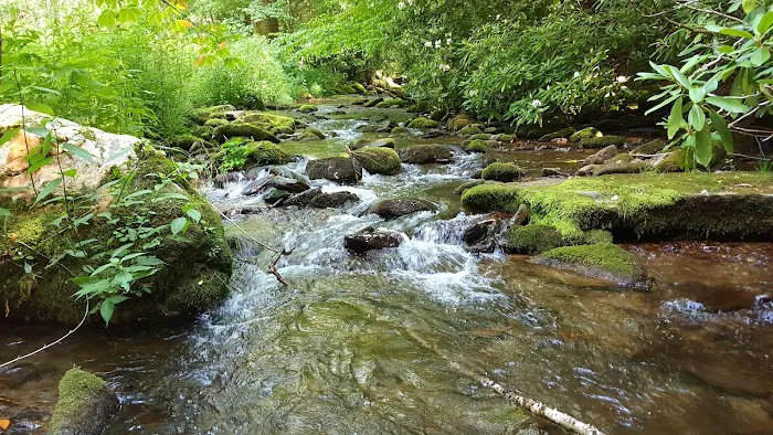 Cataloochee Horse Camp 9