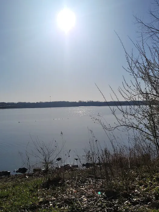 Alum Creek State Park Campground Beach 5