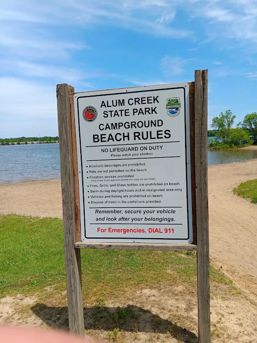 Alum Creek State Park Campground Beach 6