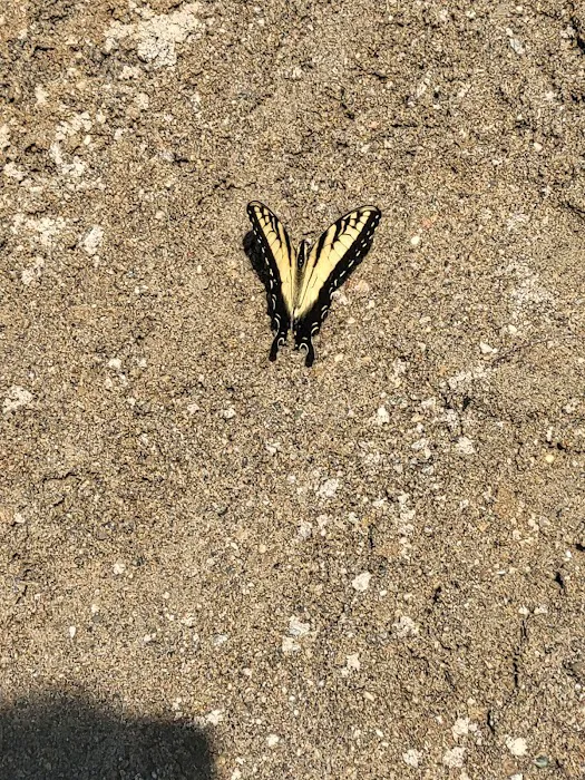Alum Creek State Park Campground Beach 8
