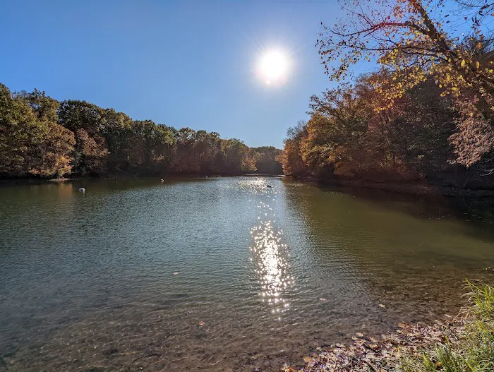 Alum Creek State Park Campground Beach 9