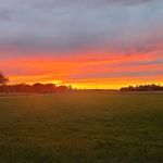 Tree Haven Camp Grounds Inc