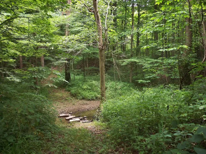 Grins & Pickin's CampFarm LLC 5