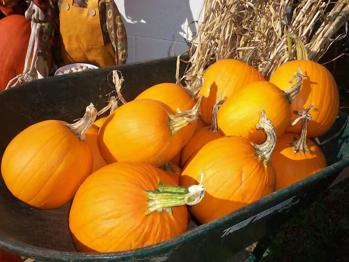 Grins & Pickin's CampFarm LLC 9