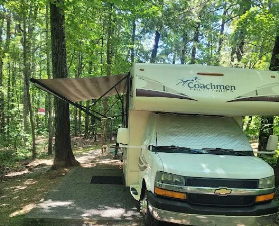 Campsite #22