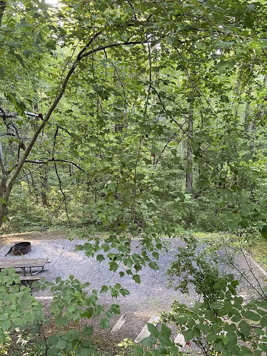 Campsite #35 2
