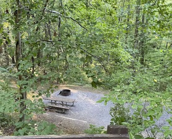 Campsite #35