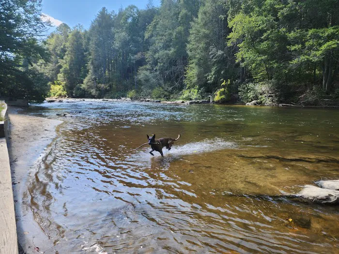 Toccoa River Sandy Bottoms Recreation Area 1