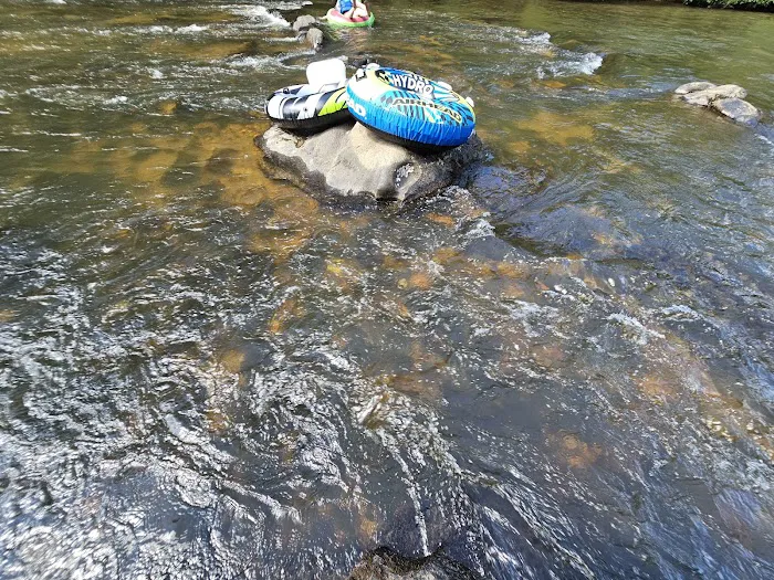 Toccoa River Sandy Bottoms Recreation Area 6