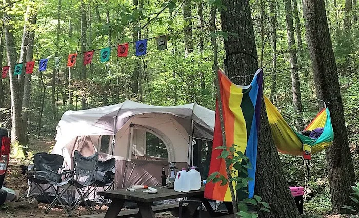 Fox Mountain Camp and Artist Retreat 0