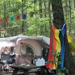 Fox Mountain Camp and Artist Retreat