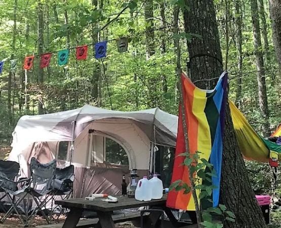 Fox Mountain Camp and Artist Retreat