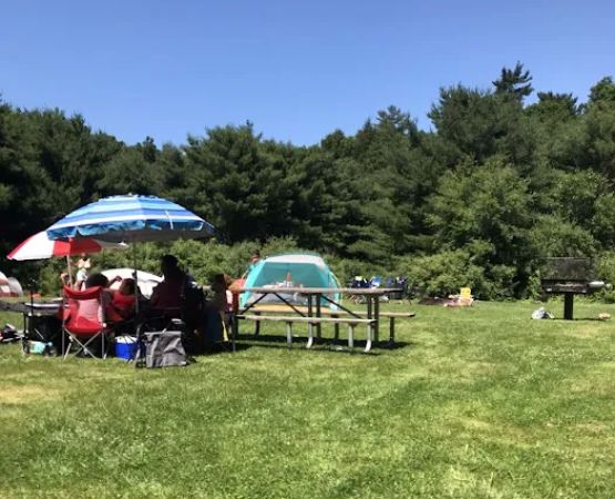 Haskin's Group Campsites