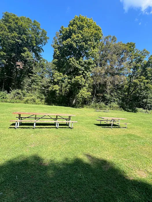 Haskin's Group Campsites 4