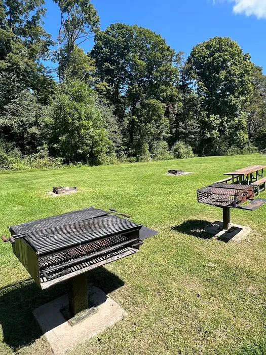 Haskin's Group Campsites 3