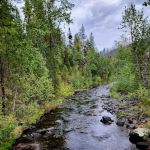 Sheep Creek Campground