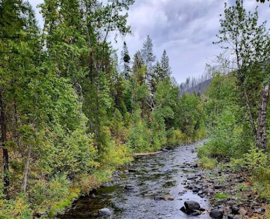 Sheep Creek Campground
