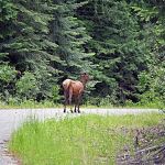 Everett Slough Campground