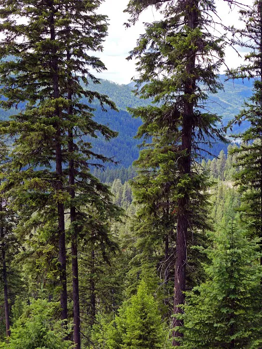 Ledbetter Cove Campground 8