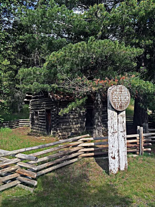 Ledbetter Cove Campground 6