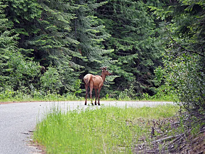 Grandview Campground 0