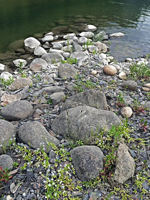 Grandview Campground 5
