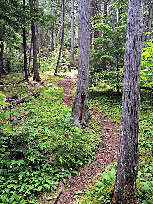 Grandview Campground 9