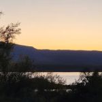 Coati Loop Campsites