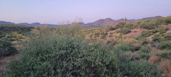 Coati Loop Campsites 1