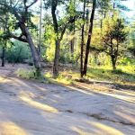 Sawmill Flats Campground