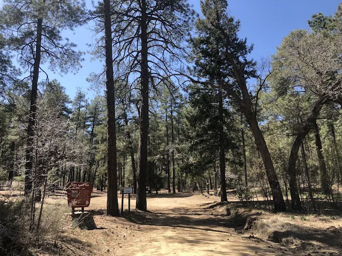 Sawmill Flats Campground 1