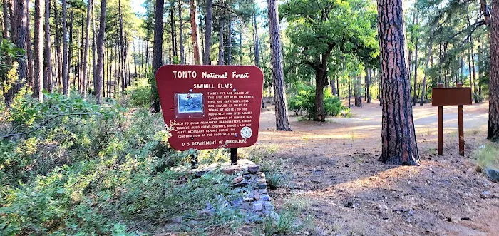 Sawmill Flats Campground 7