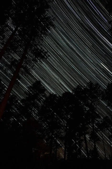 Sawmill Flats Campground 6