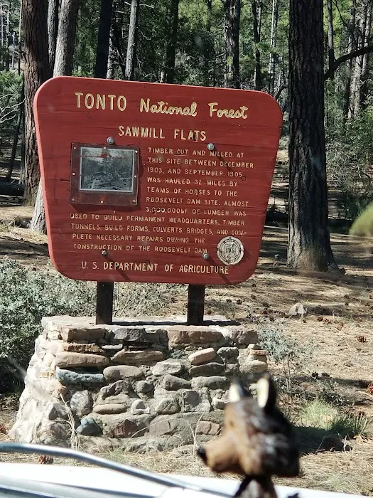 Sawmill Flats Campground 4