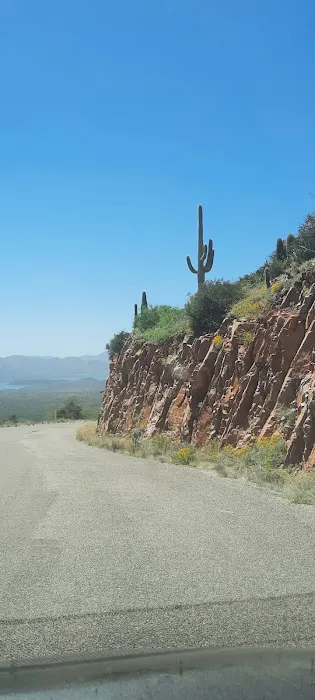 Sawmill Flats Campground 8