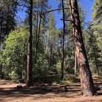 Rose Creek Campground