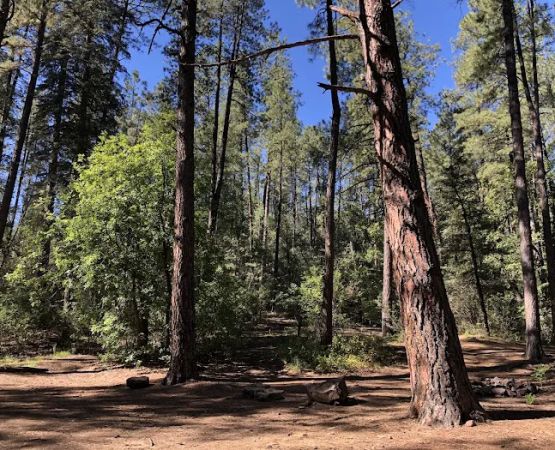 Rose Creek Campground