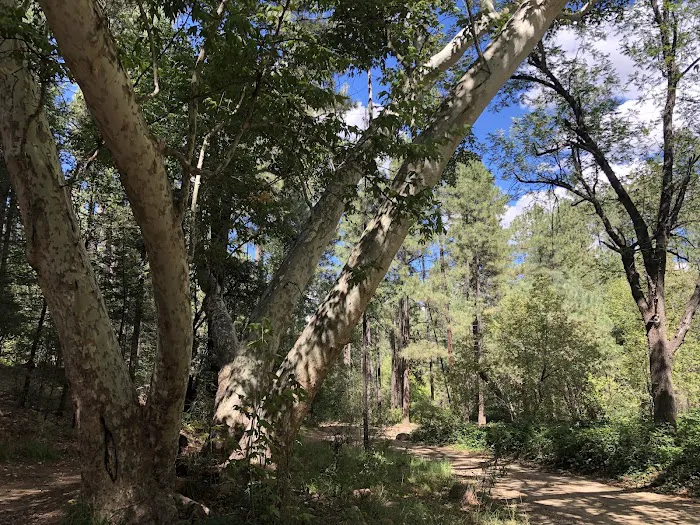 Rose Creek Campground 2
