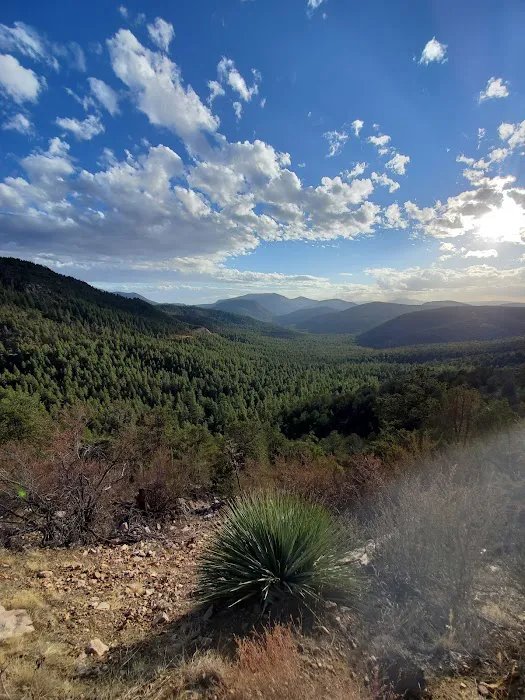 Rose Creek Campground 3