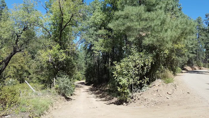 Rose Creek Campground 6